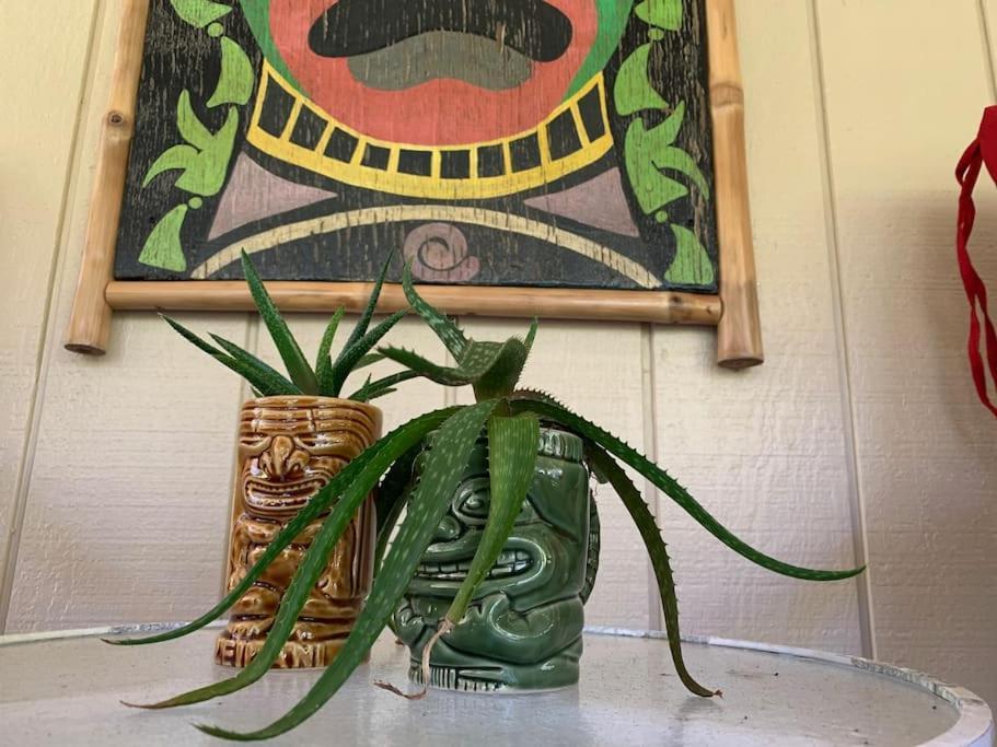 Hau'Oli Place Tiki Cottage In Volcano Zewnętrze zdjęcie